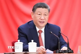 Chủ tịch Trung Quốc Tập Cận Bình. (Ảnh: THX/TTXVN)