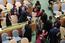 Nhiều nước thành viên LHQ tới chia vui với kết quả phiếu bầu rất cao của Việt Nam. (Ảnh: Thanh Tuấn/TTXVN)