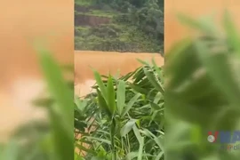 Thiệt hại ban đầu do sự cố thủy điện Bắc Khê 1 lên đến 50 tỷ đồng