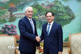 Phó Thủ tướng, Bộ trưởng Ngoại giao Bùi Thanh Sơn tiếp Thứ trưởng Thứ nhất Bộ Ngoại giao Cuba Gerardo Peñalver. (Ảnh: TTXVN phát)