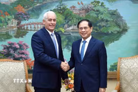 Phó Thủ tướng, Bộ trưởng Ngoại giao Bùi Thanh Sơn tiếp Thứ trưởng Thứ nhất Bộ Ngoại giao Cuba Gerardo Peñalver. (Ảnh: TTXVN phát)