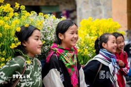 Ảnh minh họa. (Ảnh: Khánh Hòa/TTXVN)