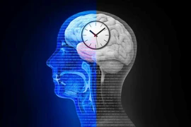 Nhịp sinh học và chu kỳ ngủ-thức bị ảnh hưởng bởi cách việc tiếp xúc với ánh sáng Mặt Trời điều hòa sự tiết melatonin trong não bộ và cơ thể con người. (iStock)