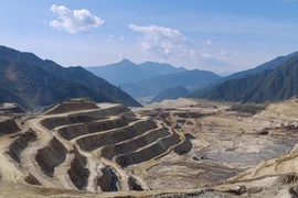 Ảnh minh họa. (Nguồn: China Daily)