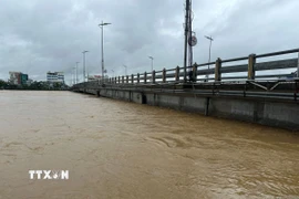 Nước lũ sông Trà Bồng đã áp sát cầu Châu Ổ. (Ảnh: TTXVN phát)