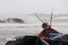 Do ảnh hưởng bão số 12, vùng biển Quảng Ngãi hiện có sóng biển rất lớn. (Ảnh: Phạm Cường/TTXVN)