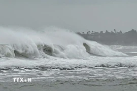 Ảnh minh họa. (Ảnh: Phạm Cường/TTXVN)