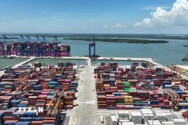 (Ảnh: Hoàng Nhị/TTXVN)