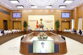 Phó Chủ tịch Quốc hội Vũ Hồng Thanh phát biểu. (Ảnh: Doãn Tấn/TTXVN)