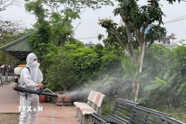 Ảnh minh họa. (Ảnh: TTXVN phát)