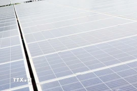 Ảnh minh họa. (Ảnh: Công Thử/TTXVN)