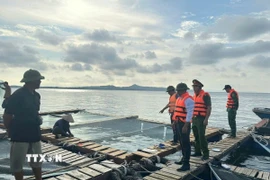 Các địa phương ven biển của tỉnh Quảng Ninh đang vận động các tàu thuyền, ngư dân nuôi trồng thủy sản trên biển vào nơi tránh trú bão. (Ảnh: TTXVN phát)