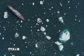 Băng biển tại Bắc Cực giảm xuống mức thấp nhất từ trước đến nay. (Ảnh: AFP/TTXVN)