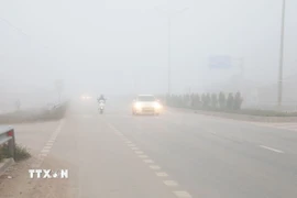 Cần bật đèn sương mù, đèn gầm; tuyệt đối không lấn sang làn đối diện để vượt khi trời sương mù bởi dễ gây va chạm đối đầu. (Ảnh minh họa: Văn Đạt/TTXVN)