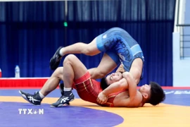 Môn vật hứa hẹn giành 3-4 huy chương Vàng trong ngày hôm nay. (Ảnh: Trần Việt/TTXVN)