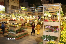 Không gian nghệ thuật được thiết kế xuyên suốt với hơn 30 mô hình đại cảnh, tiểu cảnh, sử dụng hơn 50.000 giỏ hoa tươi từ các làng hoa trong và ngoài thành phố. (Ảnh: Thu Hiền/TTXVN)