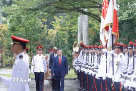 Tổng Bí thư, Chủ tịch nước Tô Lâm và Tổng thống Singapore Tharman Shanmugaratnam duyệt Đội danh dự. (Ảnh: Thống Nhất/TTXVN)