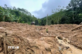 Ảnh minh họa. (Ảnh: TTXVN phát)