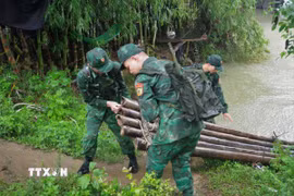 (Ảnh: Chu Hiệu/TTXVN)