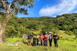 Du khách trải nghiệm cung đường rừng Vườn quốc gia Núi Chúa (huyện Ninh Hải, Ninh Thuận). (Ảnh: TTXVN phát)