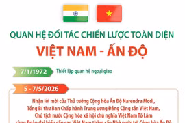 Quan hệ Đối tác Chiến lược Toàn diện Việt Nam-Ấn Độ
