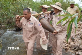 Đội cơ động của MAG di dời quả bom an toàn đến khu vực chờ hủy nổ. (Ảnh: TTXVN phát)