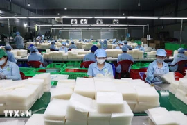 Hoạt động sản xuất tại một doanh nghiệp ở Tây Ninh. (Nguồn: TTXVN)