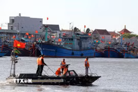 Số hóa quản lý tàu cá, Đồng Tháp siết chặt truy xuất nguồn gốc. (Ảnh minh họa: Công Thử/TTXVN)