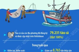 'Xử lý đủ mạnh, đủ sức răn đe và xử lý dứt điểm tình trạng khai thác IUU'