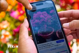 Chính phủ hỗ trợ 400.000 điện thoại thông minh cho hộ nghèo, hộ cận nghèo. (Ảnh minh họa: Minh Phú/TTXVN)
