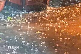 Những viên to như ngón tay cái rơi dày đặc tại Hà Nội. (Ảnh: TTXVN phát)