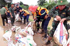 Các lực lượng Công an, Quân đội khẩn trương gia cố đê bối sông Cầu. (Ảnh: Trần Trang/TTXVN)