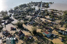 65 người thiệt mạng và mất tích do bão số 10