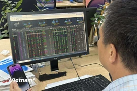 Ảnh minh họa. (Nguồn: Vietnam+)