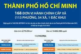 Thông tin chi tiết về 113 phường của thành phố Hồ Chí Minh