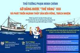Gỡ bằng được "thẻ vàng" IUU và phát triển ngành thủy sản bền vững, trách nhiệm