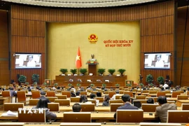 Quang cảnh phiên họp Quốc hội. (Ảnh: Doãn Tấn/TTXVN)