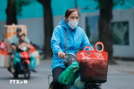 Từ ngày 13-15/11 ở khu vực Bắc Bộ, Thanh Hóa và Nghệ An, đêm và sáng sớm trời rét. (Ảnh minh họa: TTXVN)