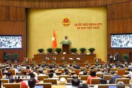 Quang cảnh phiên họp. (Ảnh: Doãn Tấn/TTXVN)