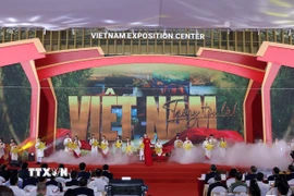 Biểu diễn văn nghệ chào mừng tại lễ khánh thành VEC. (Ảnh: Quốc Khánh/TTXVN)