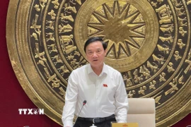 Phó Chủ tịch Quốc hội Nguyễn Khắc Định phát biểu chỉ đạo cuộc họp. (Ảnh: Hải Ngọc/TTXVN)