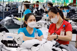 May hàng xuất khẩu tại Công ty TNHH May Maxport, xã Tân Thuận, tỉnh Hưng Yên. (Ảnh: Trần Việt/TTXVN)