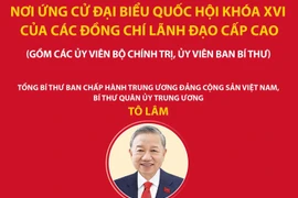 Các đồng chí lãnh đạo cấp cao ứng cử đại biểu Quốc hội khóa XVI