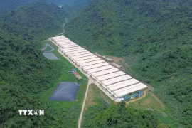 Trang trại nơi xảy ra tai nạn thuộc Dự án chăn nuôi lợn giống và lợn thương phẩm của Công ty trách nhiệm hữu hạn Dabaco Thanh Hóa (Tập đoàn Dabaco Việt Nam). (Ảnh: TTXVN phát)