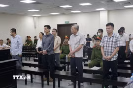 Các bị cáo nghe Tòa tuyên án. (Ảnh: Kim Anh/TTXVN)