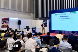 Quang cảnh hội thảo. (Ảnh: Mỹ Phương/TTXVN)