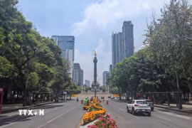 Thủ đô Mexico rực rỡ sắc hoa trước ngày hội bóng đá thế giới. (Ảnh: Phương Lan/TTXVN)