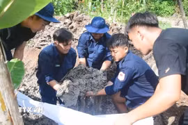 Cán bộ, chiến sỹ Đội K91 thuộc Bộ Chỉ huy Quân sự tỉnh Đồng Tháp tìm được hài cốt liệt sỹ. (Ảnh: TTXVN phát)