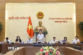 Chủ tịch Quốc hội Trần Thanh Mẫn phát biểu khai mạc Phiên họp. (Ảnh: Doãn Tấn/TTXVN)