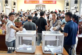 Ngày 27/9, UBND xã Triệu Việt Vương tổ chức thành công phiên đấu giá quyền sử dụng đất đầu tiên cho nhân dân làm nhà ở tại Khu dân cư nông thôn mới Xuân Đình, thôn An Cảnh. (Ảnh: Mạnh Khánh/TTXVN)